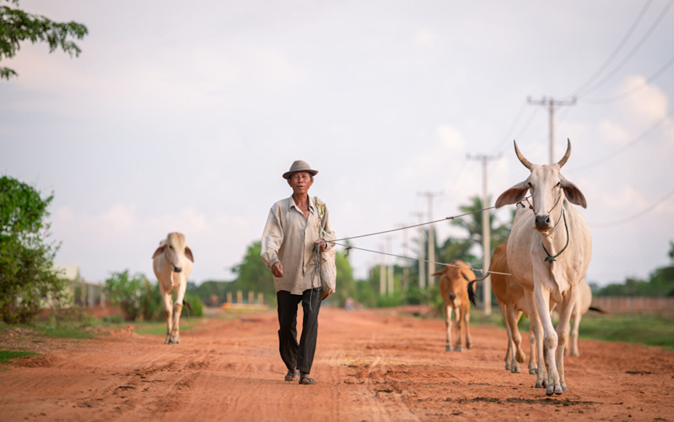 Hidden Gems & Highlights of Siem Reap City Tour